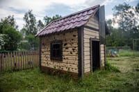 Миниатюра 4