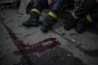 Миниатюра 5