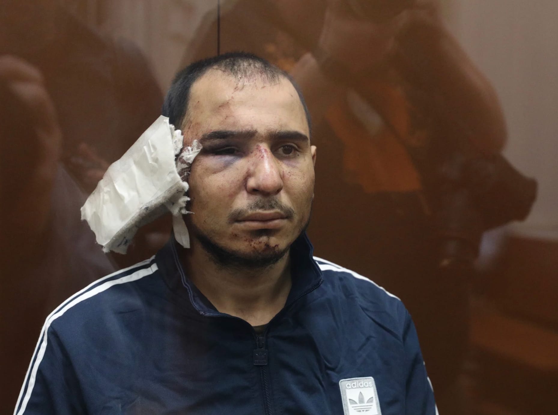 Изображение из галереи