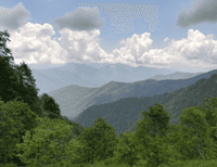 Миниатюра 7