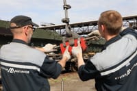 Миниатюра 5