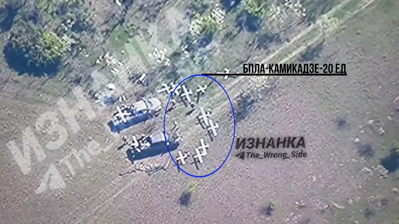 Изображение из галереи