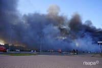 Миниатюра 7