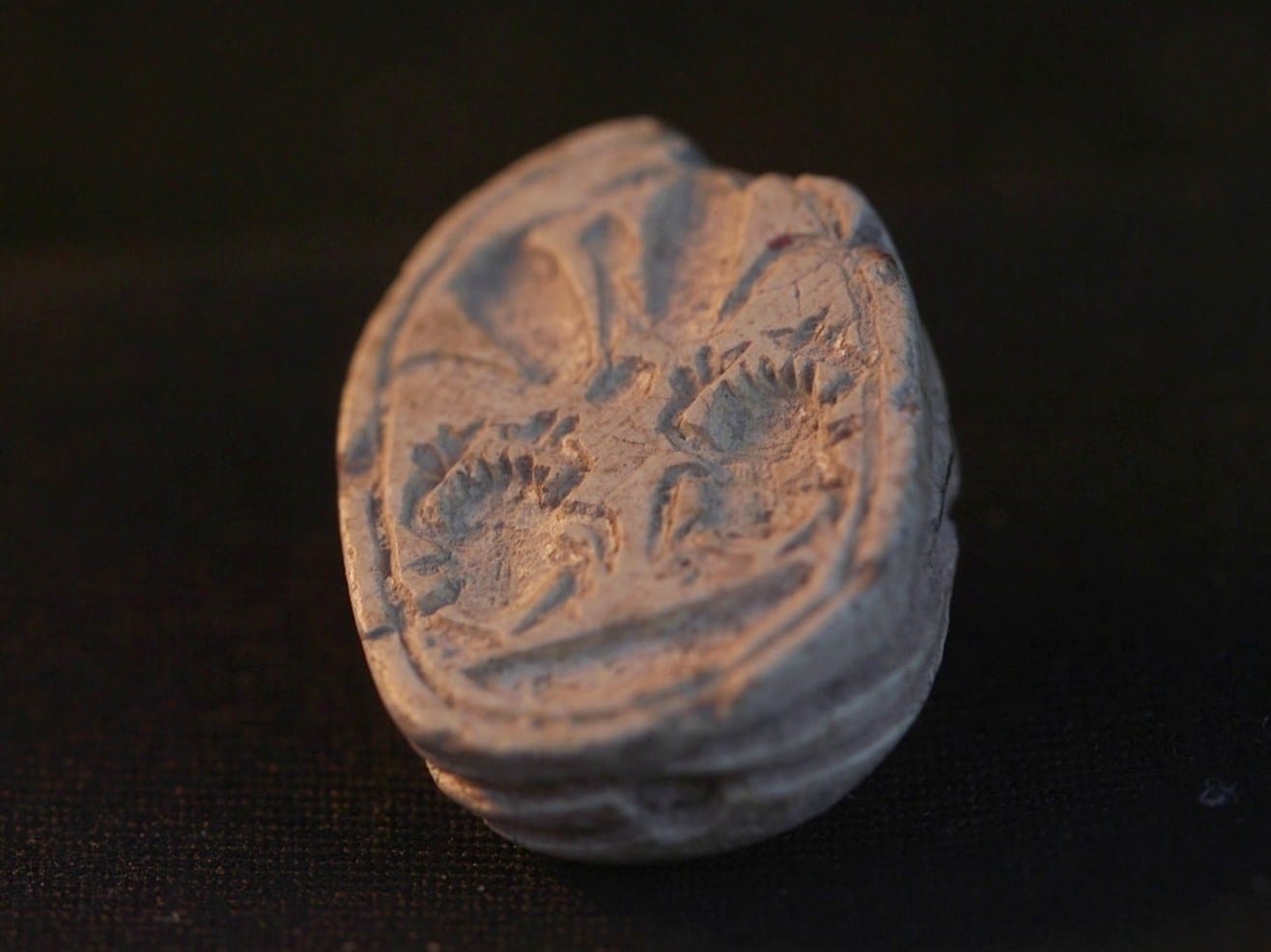 Изображение из галереи