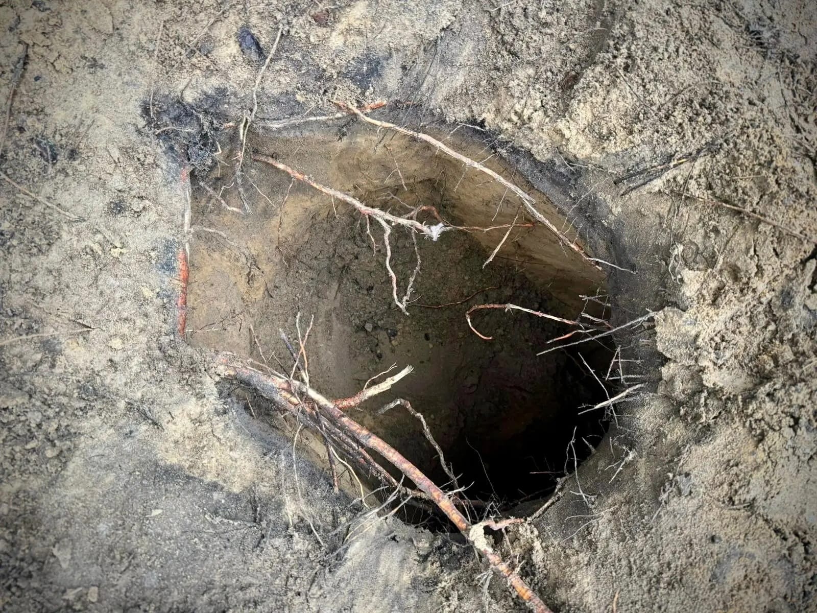 Изображение из галереи