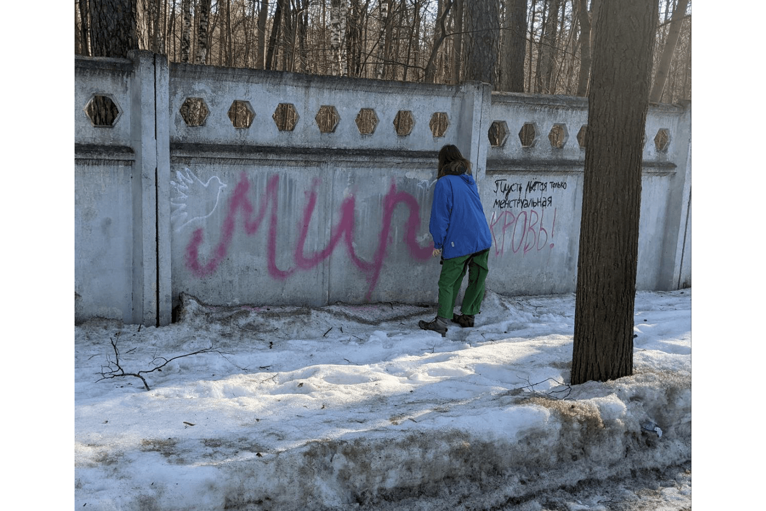 Изображение из галереи