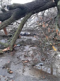 Миниатюра 15