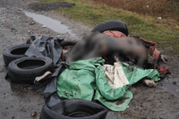 Миниатюра 9