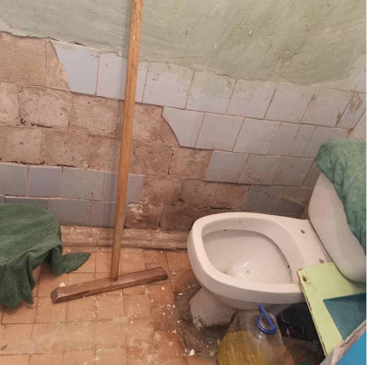 «Туалет как из фильма ужасов, дети обходят стороной». Российские школьники показали санузлы в своих школах в рамках конкурса Domestos