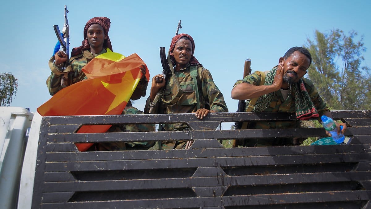 Посольство США в Эфиопии рекомендует американцам срочно покинуть страну, где альянс повстанцев готовит наступление на столицу