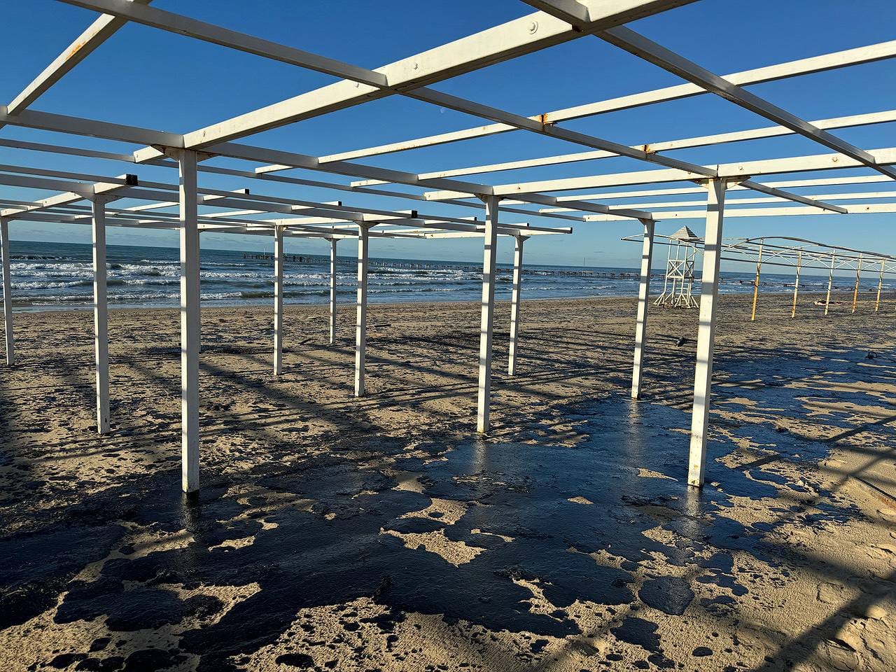 Обматеривший очищающих от мазута пляжи волонтеров в Краснодарском крае чиновник уйдет в отставку