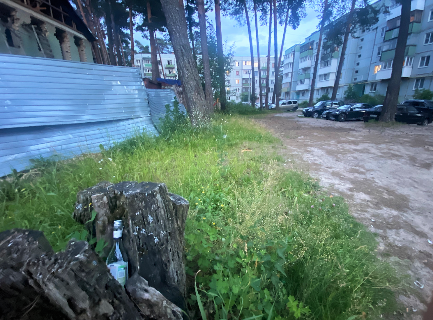 Иллюстрация к материалу