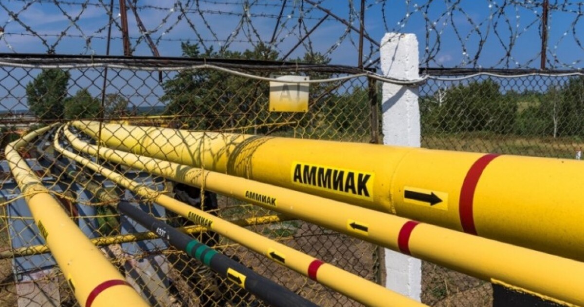 Иллюстрация к материалу