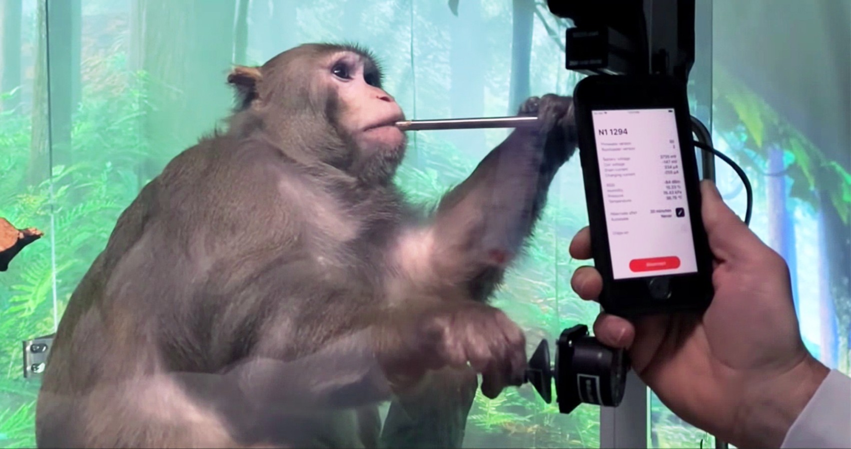 Иллюстрация к материалу