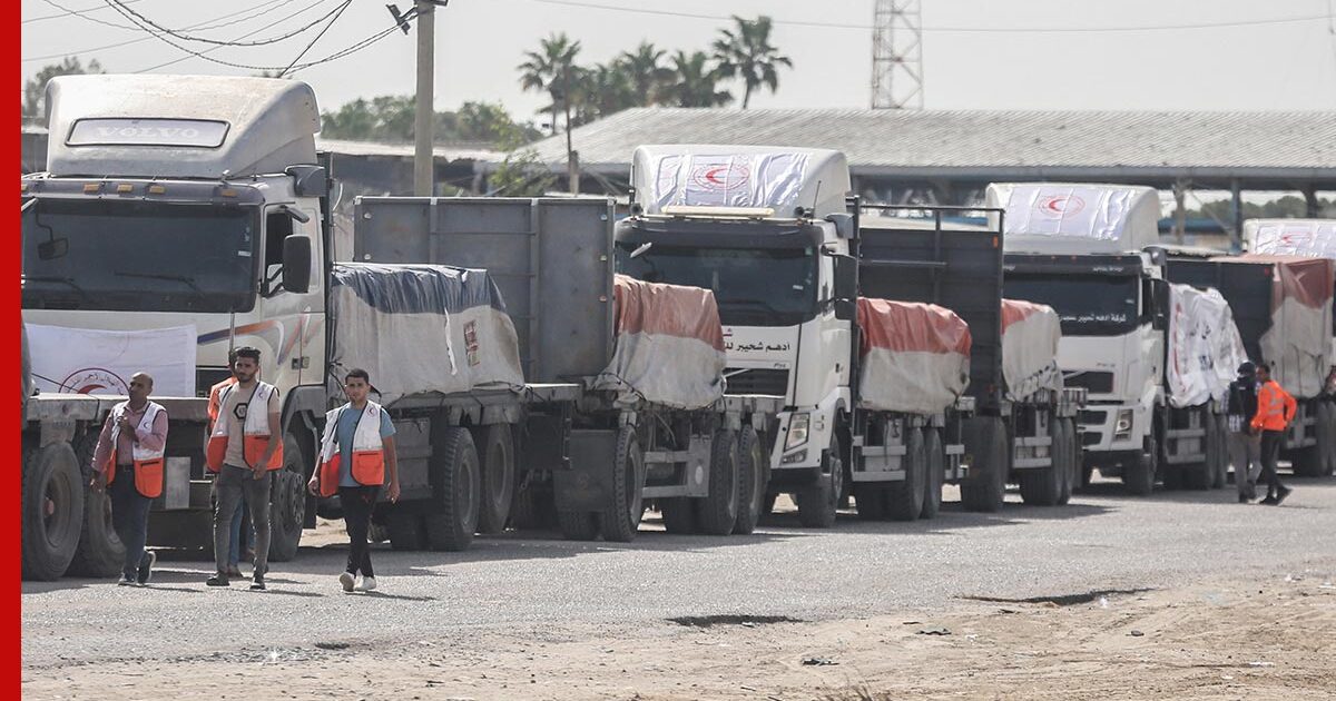 Фото: profile.ru