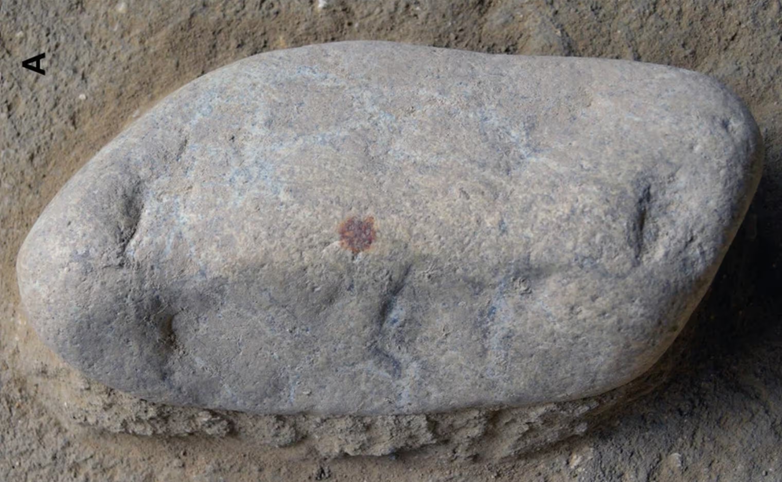 Фото: Álvarez-Alonso et al