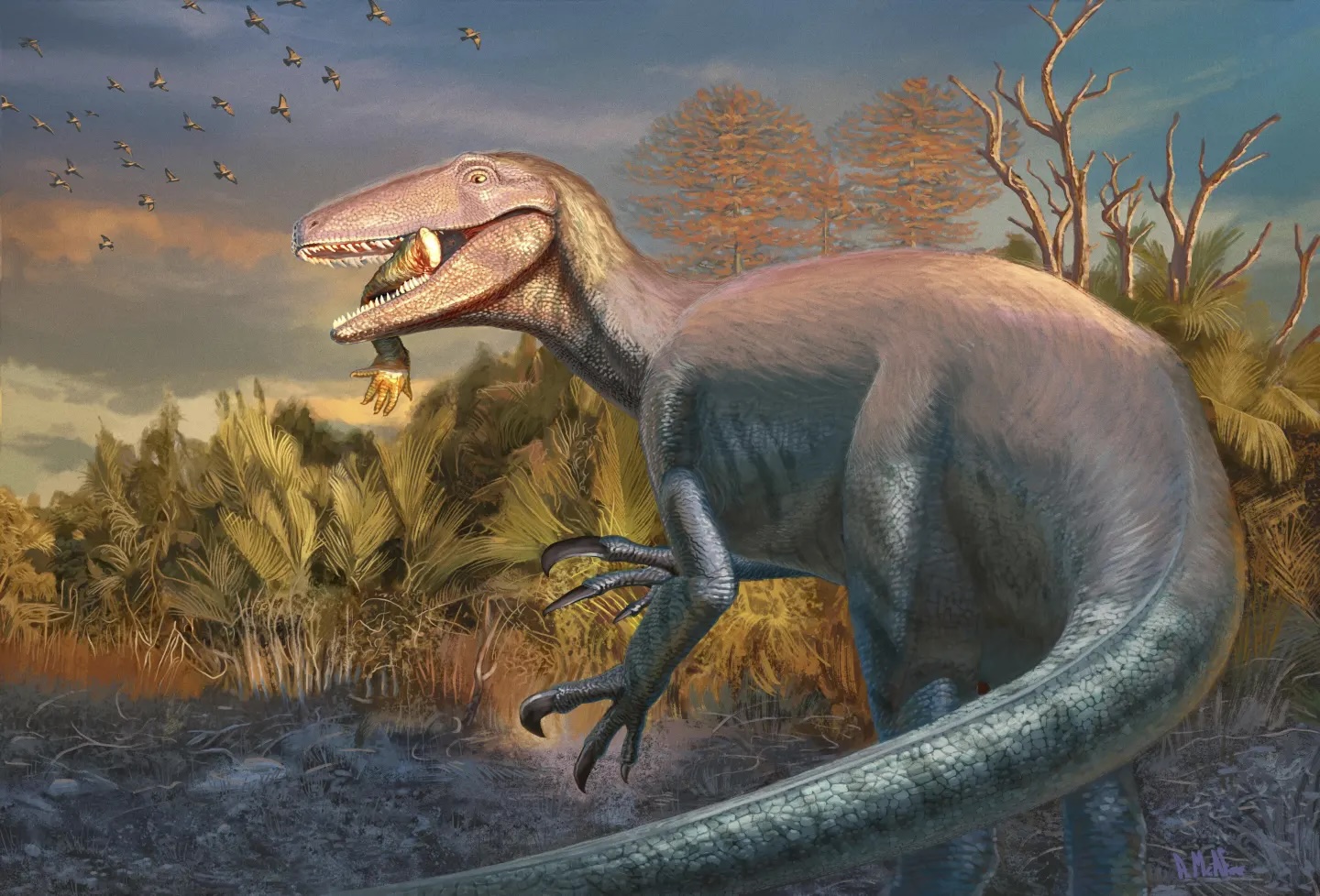 Изображение: AP