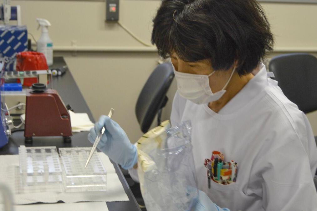 Фото: Julie Makinen / Los Angeles Times